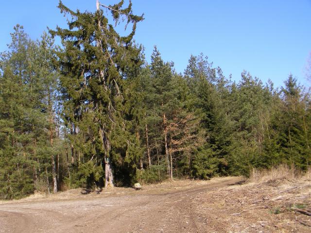 Křižovatka U obrázku